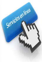 Servicios en Lnea